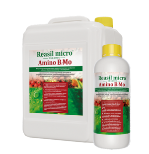 Reasil micro Амино B/Mo - биокорректор дефицита питания, 1л 10л